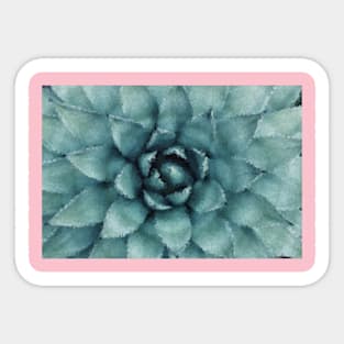 Low Poly Succulent Sticker